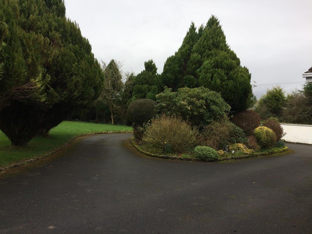 Palm Grove B&B Cashel (Tipperary) Εξωτερικό φωτογραφία